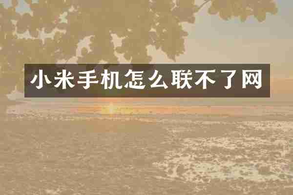 小米手机怎么联不了网