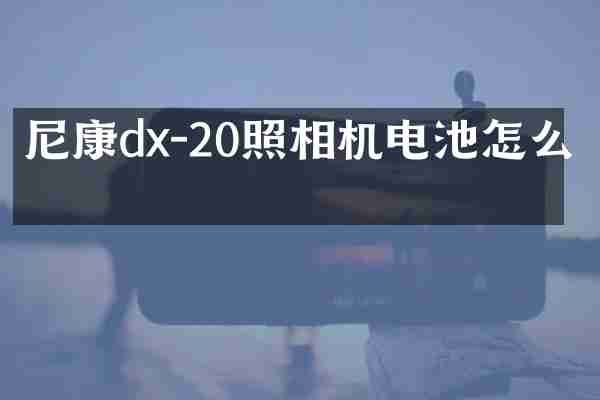 尼康dx-20照相机电池怎么拆