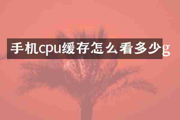 手机cpu缓存怎么看多少g