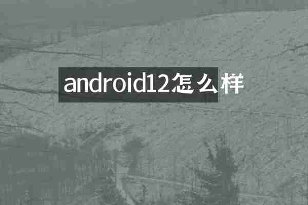 android12怎么样
