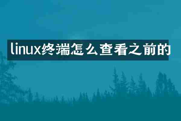 linux终端怎么查看之前的