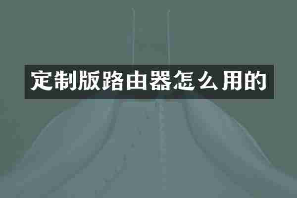 定制版路由器怎么用的