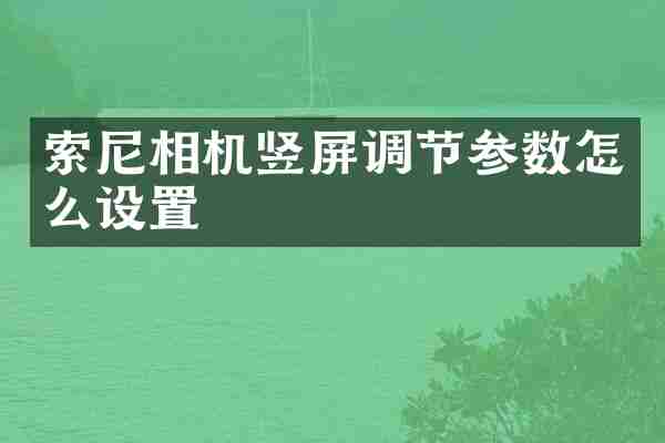 索尼相机竖屏调节参数怎么设置