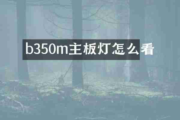 b350m主板灯怎么看
