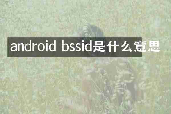android bssid是什么意思