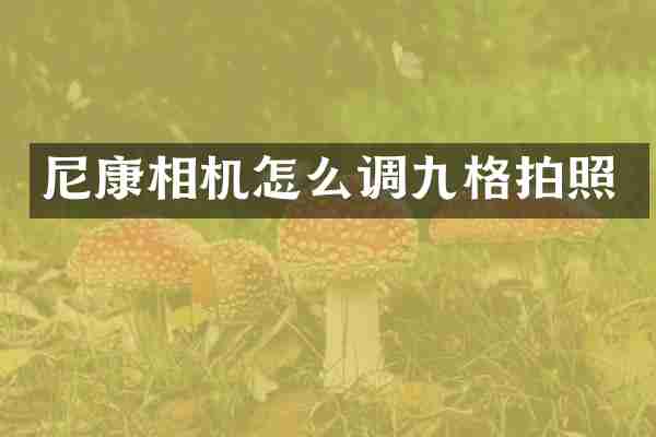 尼康相机怎么调九格拍照