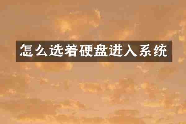 怎么选着硬盘进入系统
