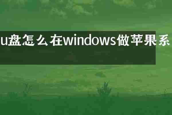 u盘怎么在windows做苹果系统
