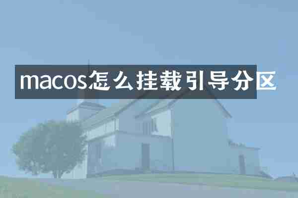 macos怎么挂载引导分区