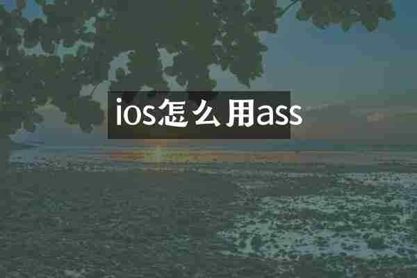 ios怎么用ass