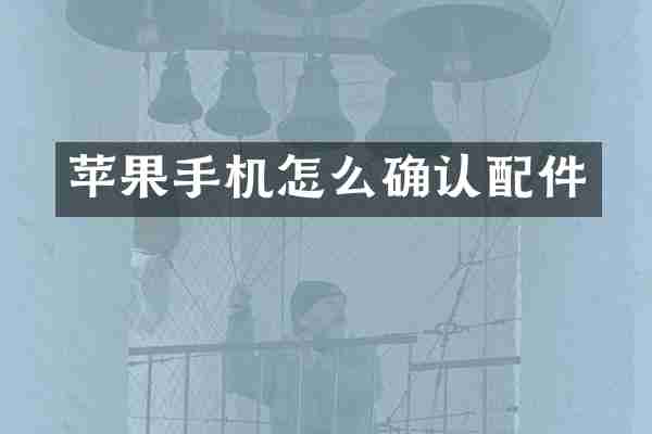 苹果手机怎么确认配件