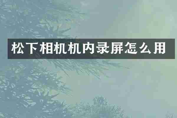 相机机内录屏怎么用