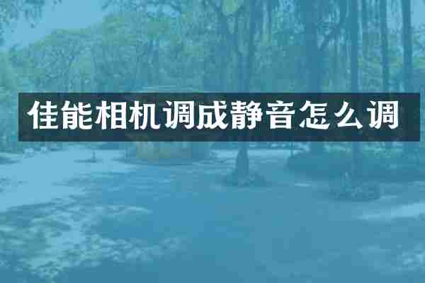 佳能相机调成静音怎么调