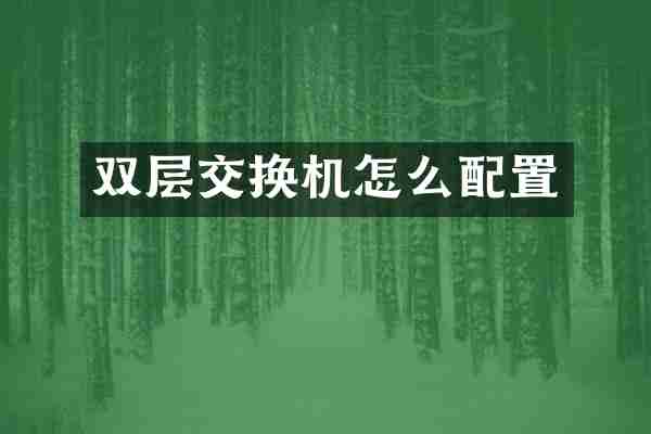 双层交换机怎么配置