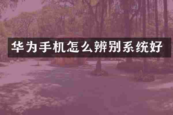 华为手机怎么辨别系统好