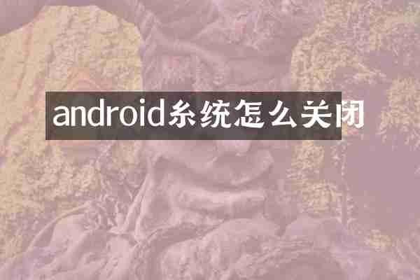 android糸统怎么关闭