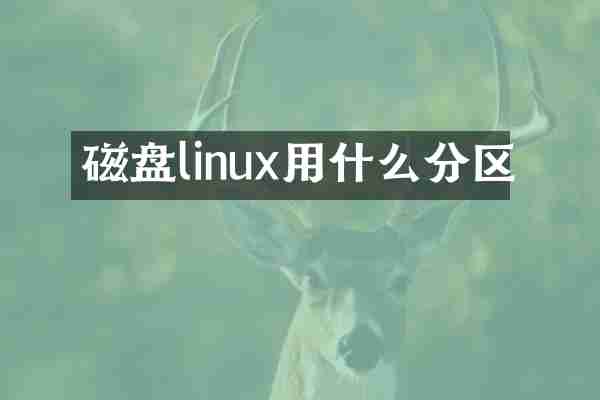 磁盘linux用什么分区