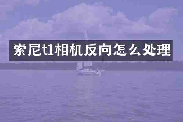 t1相机反向怎么处理
