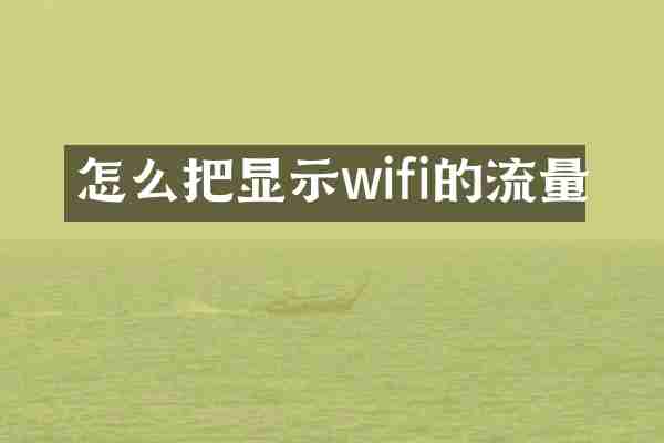怎么把显示wifi的流量