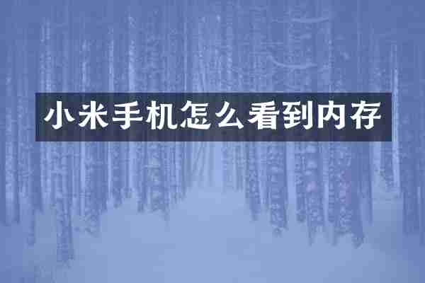 小米手机怎么看到内存