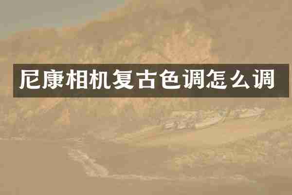 尼康相机复古色调怎么调