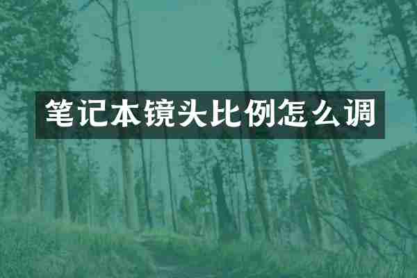 笔记本镜头比例怎么调