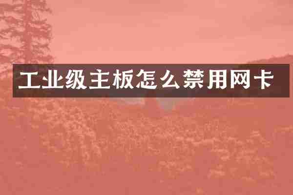 工业级主板怎么禁用网卡