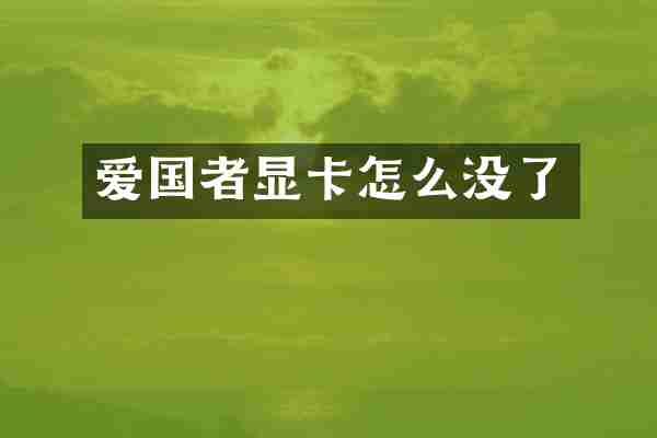 爱国者显卡怎么没了