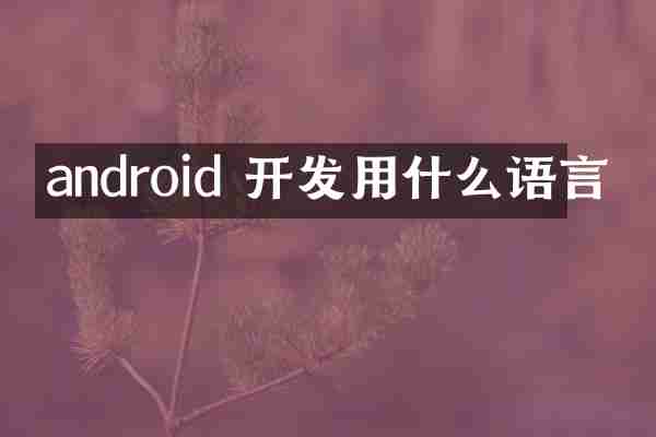 android 开发用什么语言