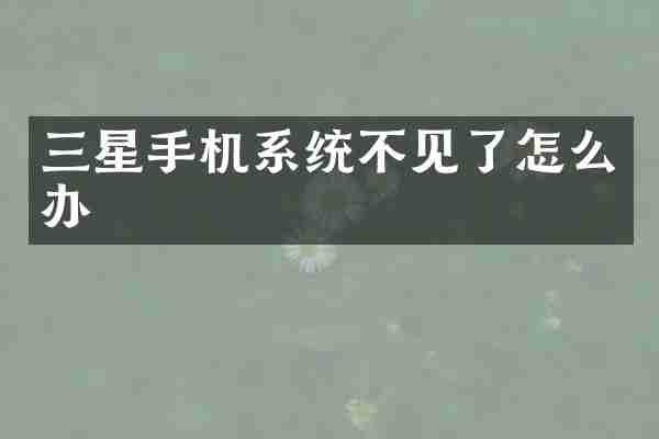 三星手机系统不见了怎么办