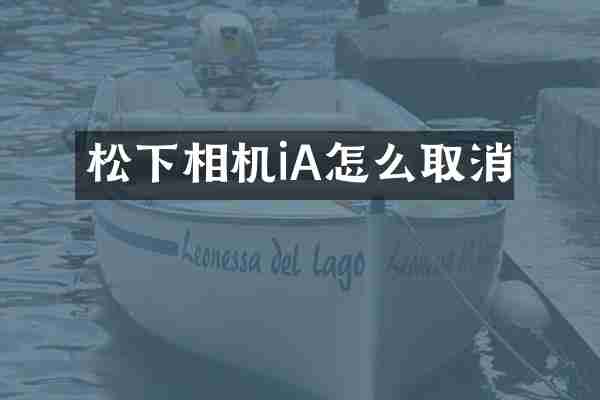 相机iA怎么取消