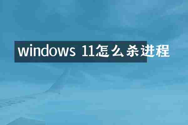windows 11怎么杀进程