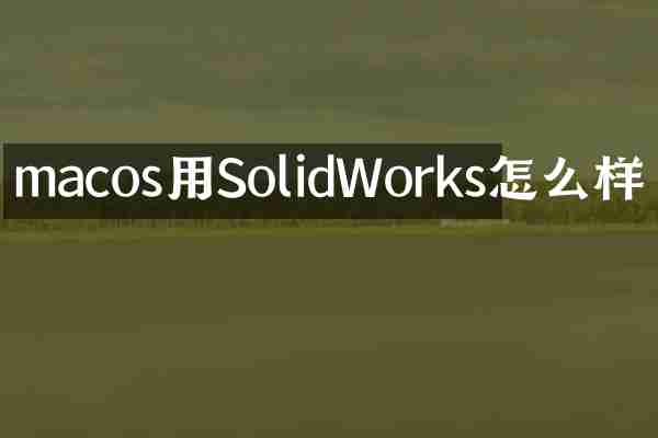 macos用SolidWorks怎么样