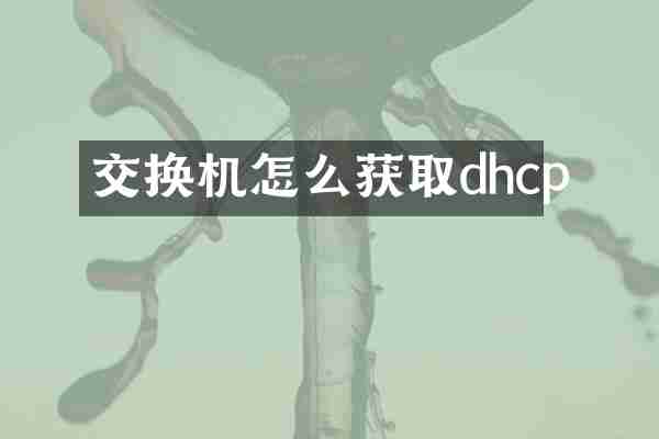 交换机怎么获取dhcp