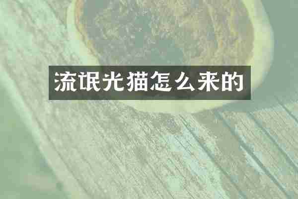 流氓光猫怎么来的
