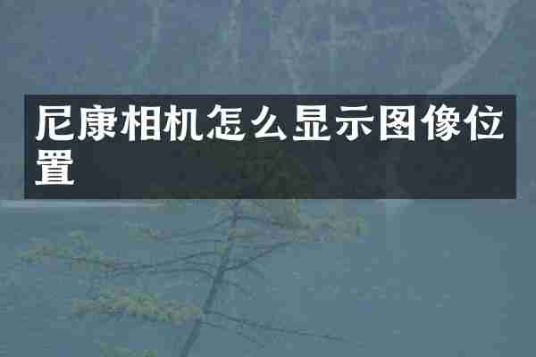 尼康相机怎么显示图像位置