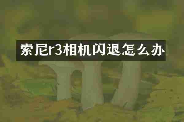 r3相机闪退怎么办