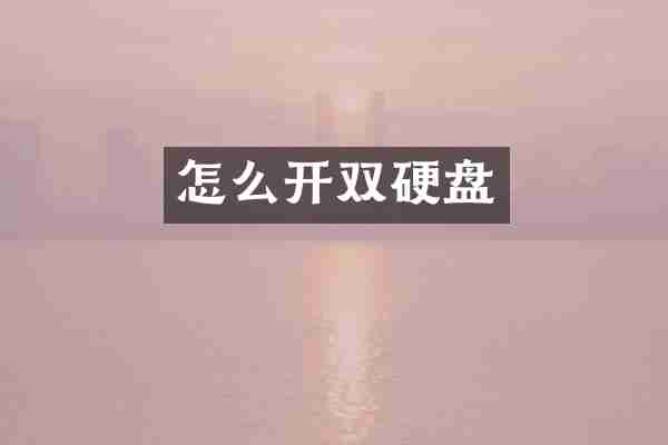怎么开双硬盘