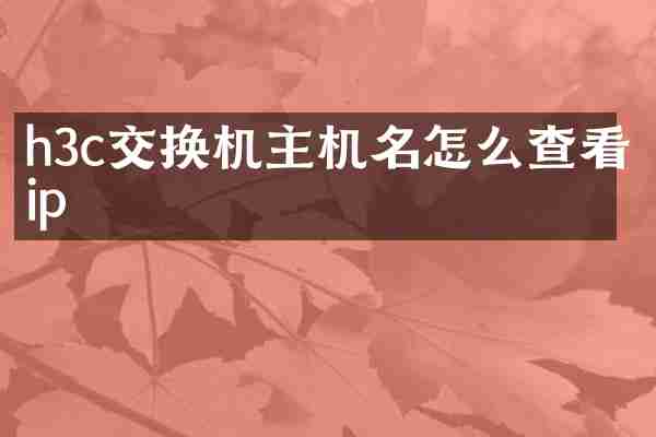 h3c交换机主机名怎么查看ip