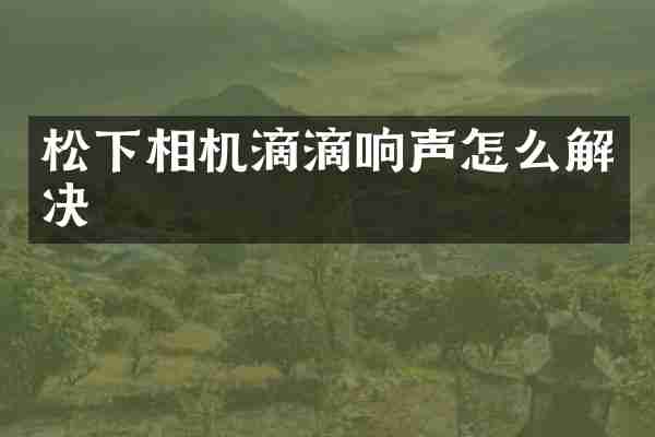 相机滴滴响声怎么解决
