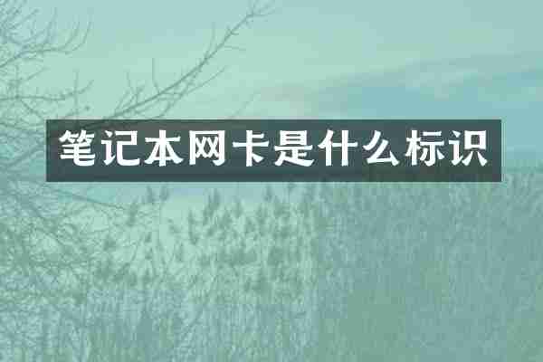 笔记本网卡是什么标识