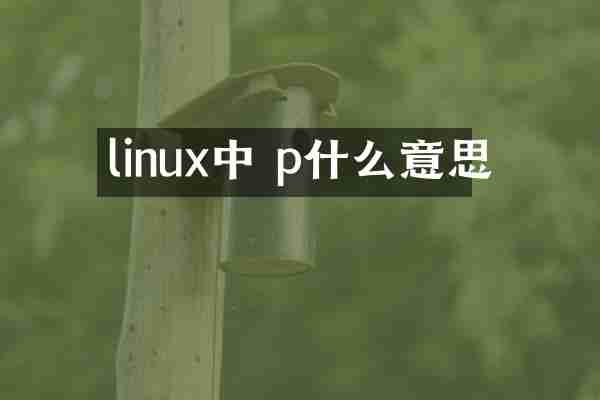 linux中 p什么意思