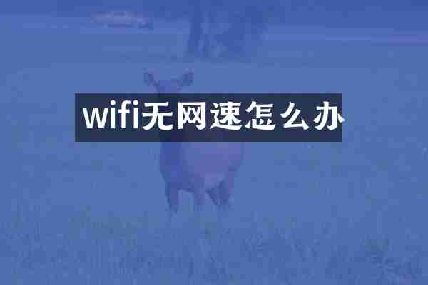 wifi无网速怎么办