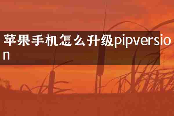 苹果手机怎么升级pipversion