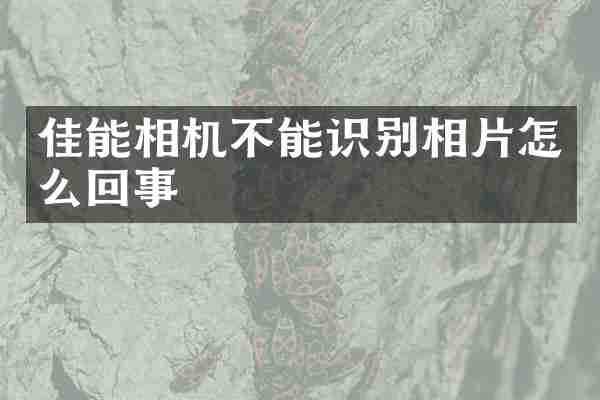 佳能相机不能识别相片怎么回事