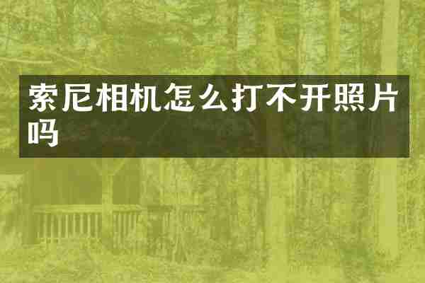 索尼相机怎么打不开照片吗