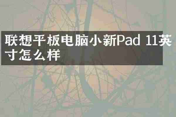 联想平板电脑小新Pad 11英寸怎么样