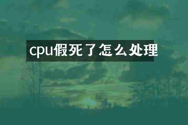 cpu假死了怎么处理