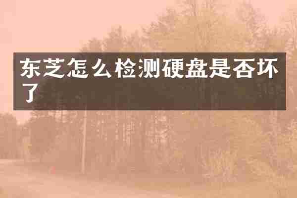 东芝怎么检测硬盘是否坏了