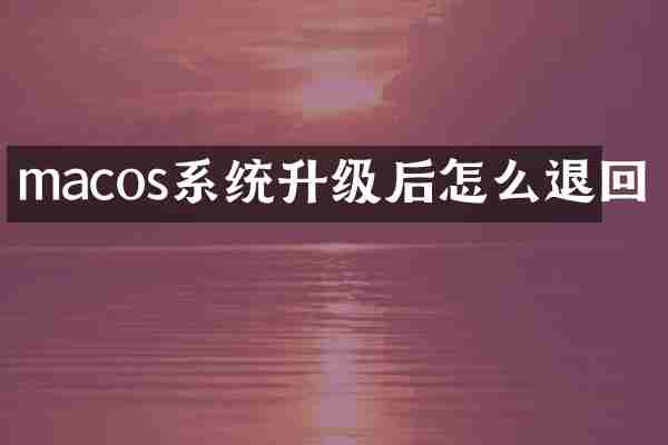 macos系统升级后怎么退回